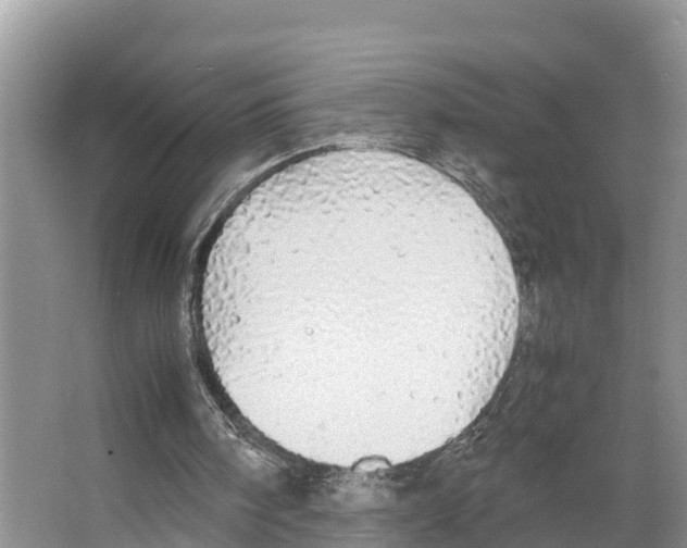 X0000066500098200604141733