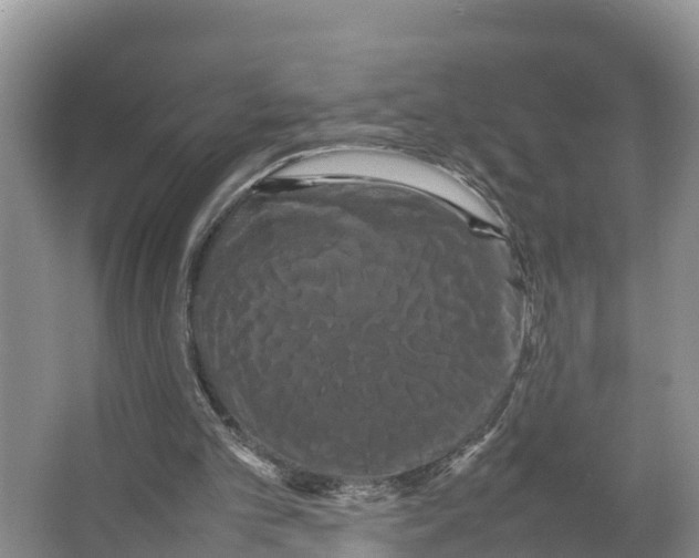 X0000066500101200604141733