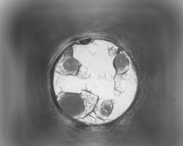 X0000066500103200604141732
