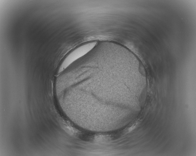 X0000066500109200604141732