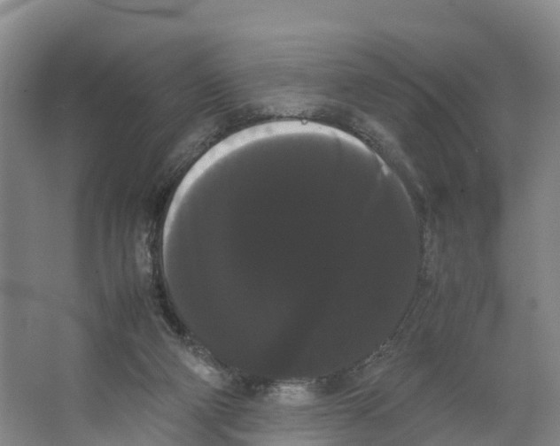 X0000066500114200604141732