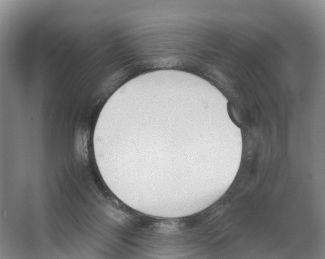 X0000066500118200604141732