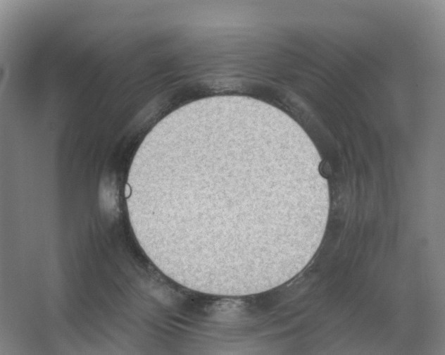 X0000066500124200604141732