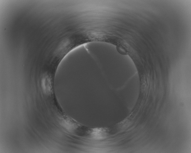 X0000066500130200604141732