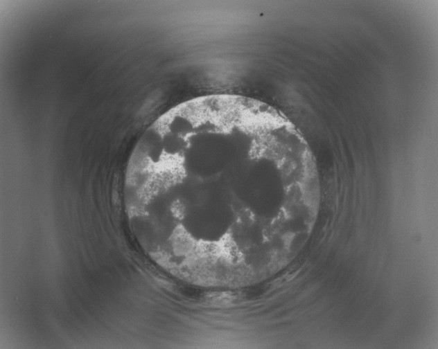 X0000066500131200604141732