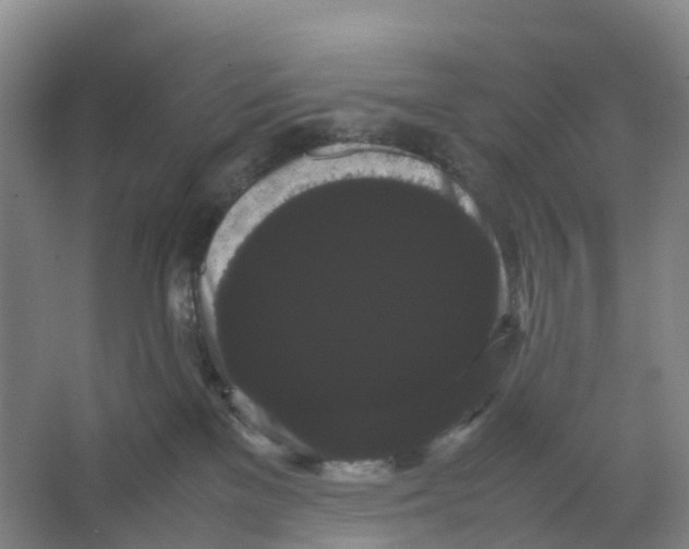 X0000066500137200604141732