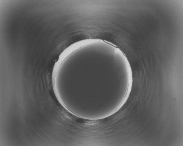 X0000066500139200604141732