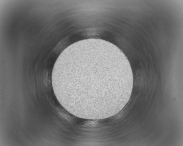 X0000066500140200604141732