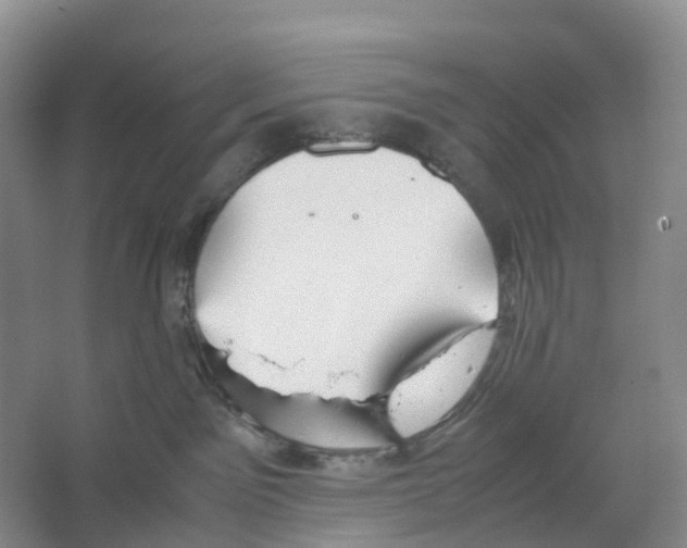 X0000066500141200604141732