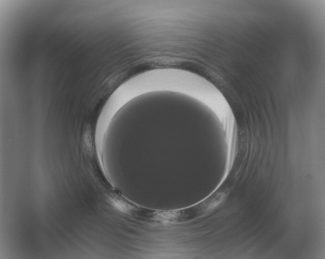 X0000066500143200604141732