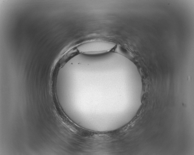 X0000066500150200604141731