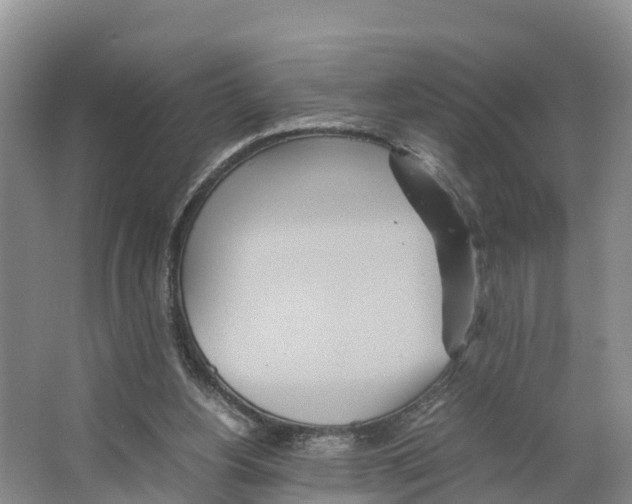 X0000066500156200604141731