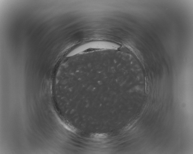 X0000066500157200604141731
