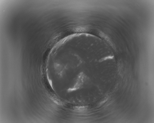 X0000066500161200604141731