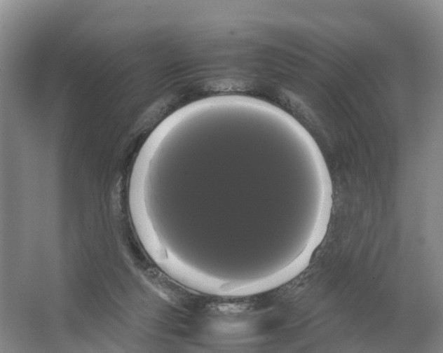 X0000066500163200604141731