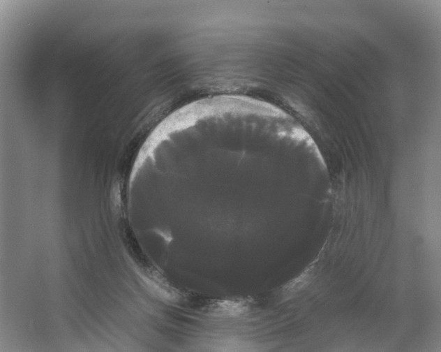 X0000066500166200604141731
