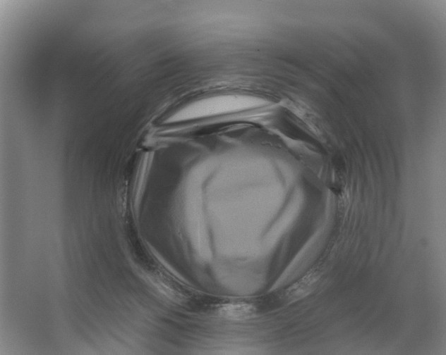 X0000066500168200604141731