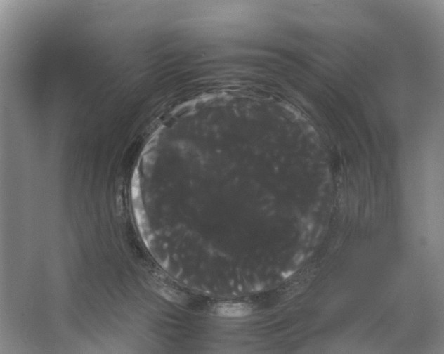 X0000066500169200604141731