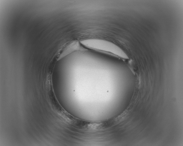 X0000066500172200604141731
