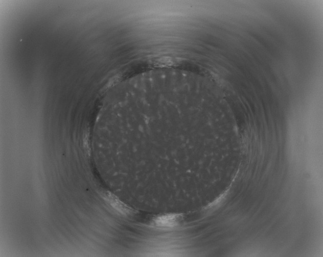 X0000066500178200604141732