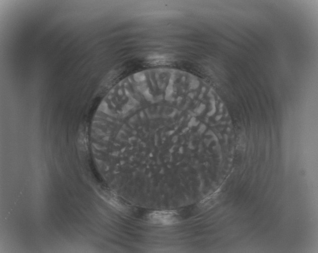 X0000066500179200604141732