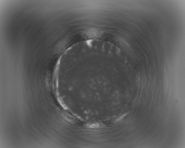 X0000066500181200604141732