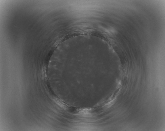 X0000066500182200604141732