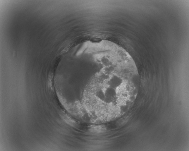X0000066500185200604141732