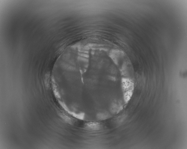 X0000066500189200604141732