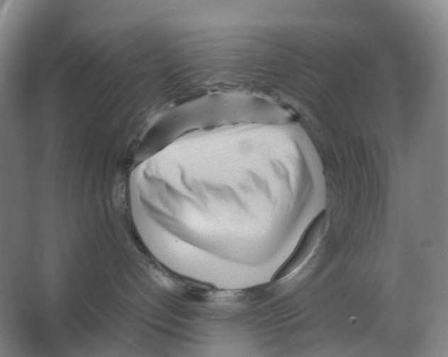X0000066500192200604141732