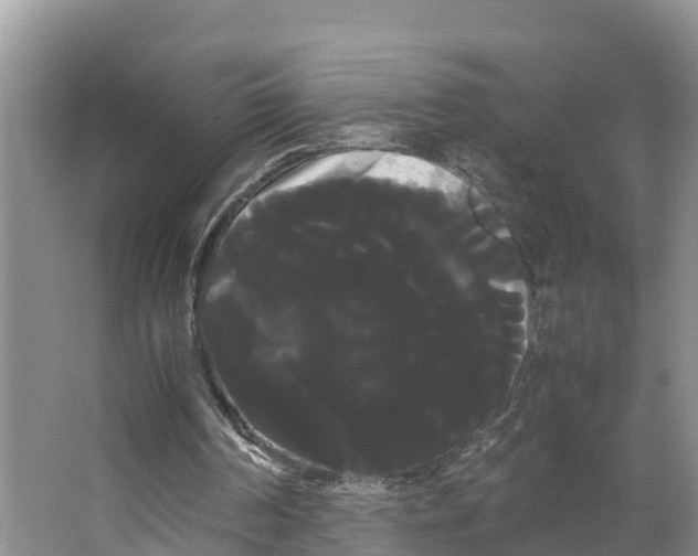 X0000066500194200604141731
