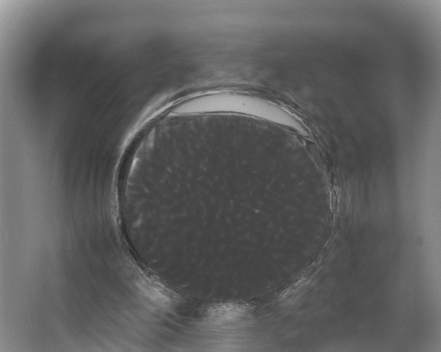 X0000066500198200604141731