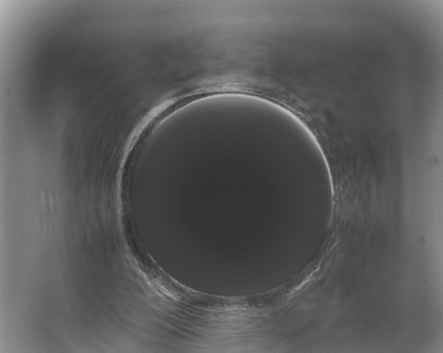 X0000066500200200604141731