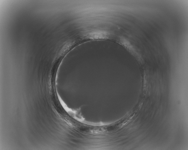 X0000066500202200604141731
