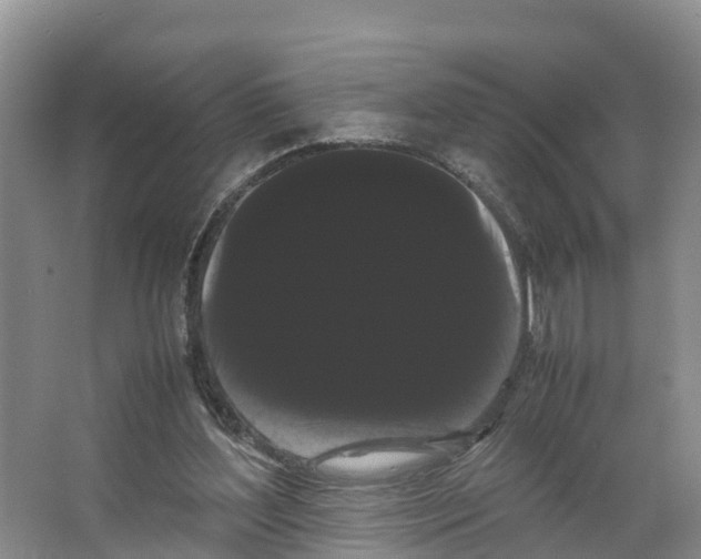 X0000066500204200604141731