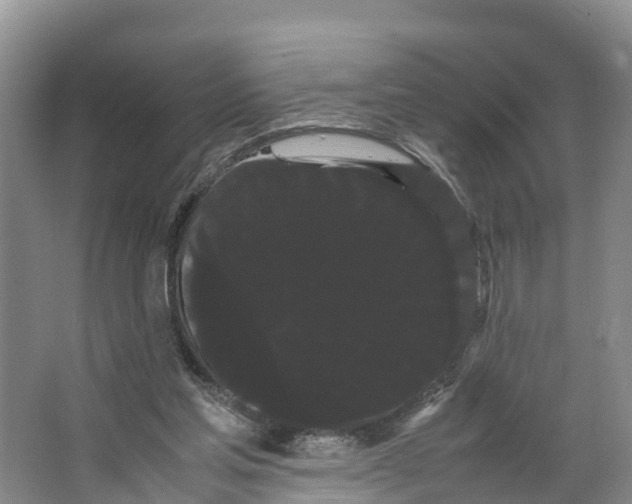 X0000066500205200604141731