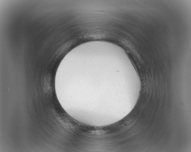 X0000066500212200604141731