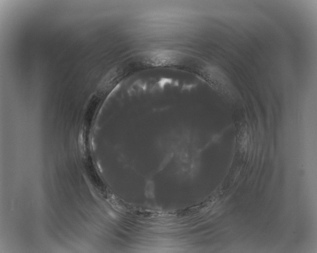 X0000066500214200604141731
