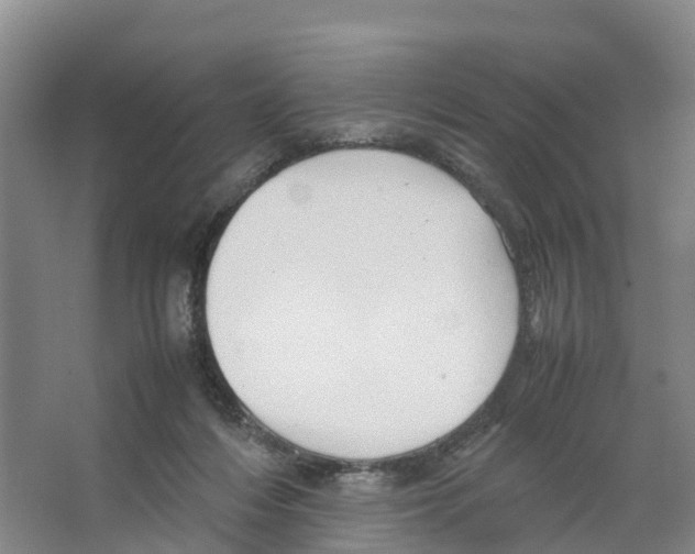 X0000066500216200604141731