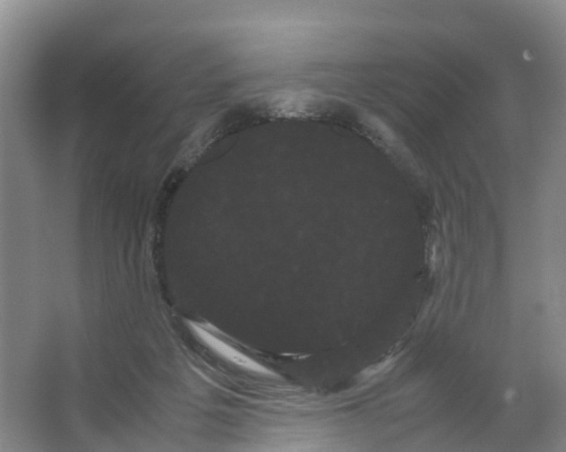X0000066500217200604141731