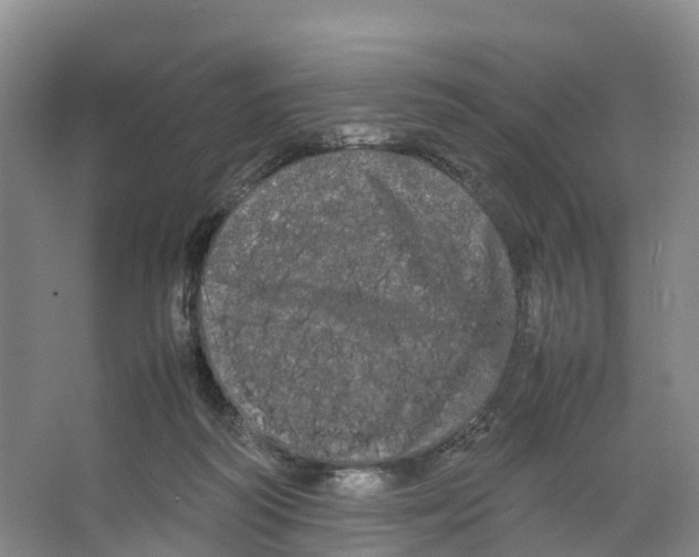 X0000066500218200604141731