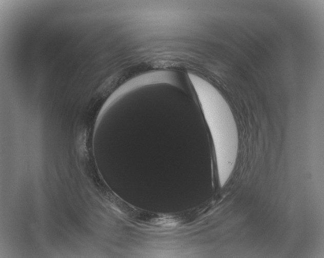 X0000066500219200604141731