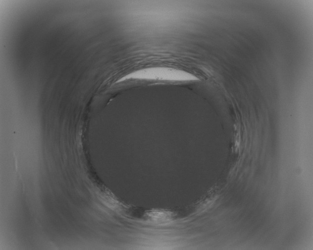 X0000066500221200604141731