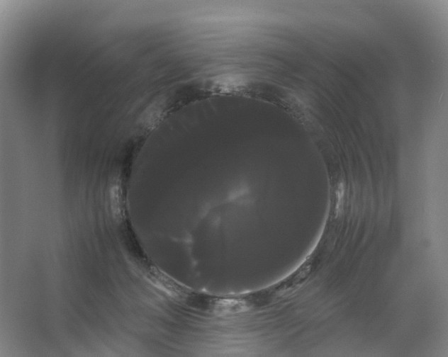 X0000066500222200604141730
