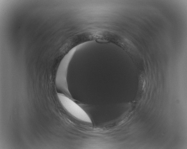 X0000066500223200604141730