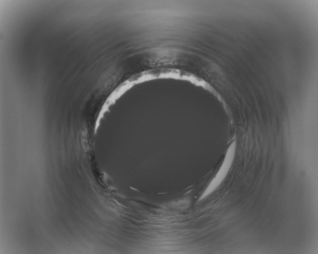 X0000066500224200604141730