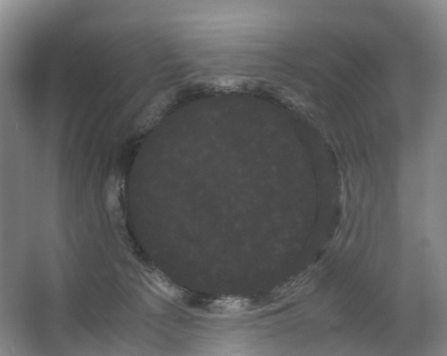 X0000066500225200604141730