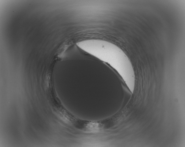 X0000066500227200604141730