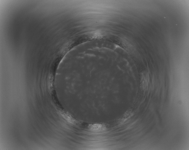 X0000066500230200604141730
