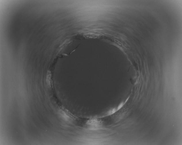 X0000066500231200604141730
